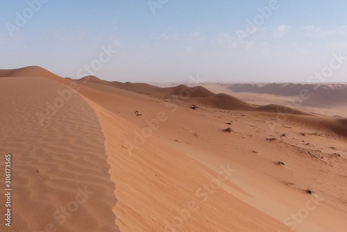 Desert Sultanat Oman