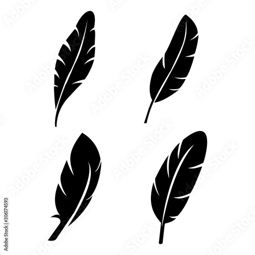 feather icon vector design symbol