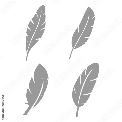 feather icon vector design symbol