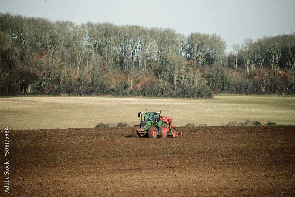 Obraz premium farmer doing the planting in the fields in autumn