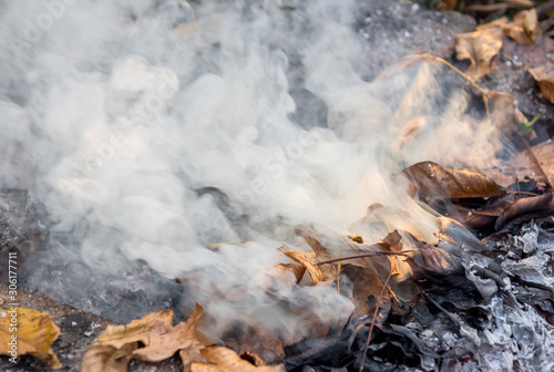 Burning fire of dried leaves. Flames and smoke from burning leaves
