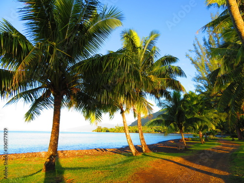 exploring tropical island paradise