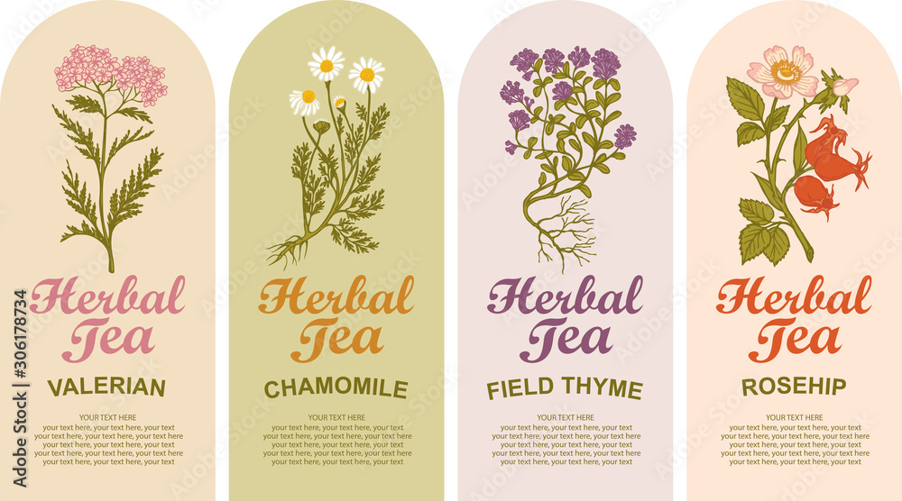 Set of vector labels for various herbal tea. Valerian, Chamomile, Field thyme, Rosehip. Tea labels with hand-drawn medicinal herbs and calligraphic inscriptions with place for text in retro style. - obrazy, fototapety, plakaty 