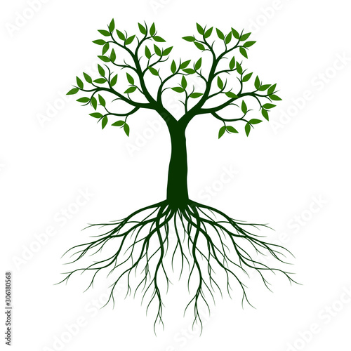 Shape of Spring Tree with Roots. Vector Outline Illustration.