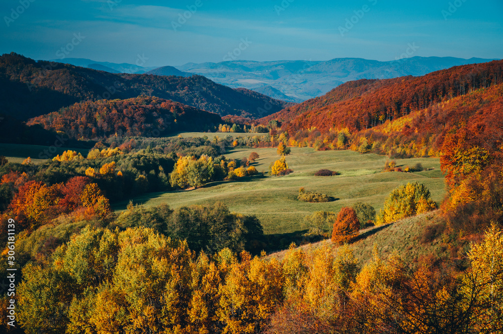 Colorful autumn landscape, green meadow, blue sky, orange and red trees