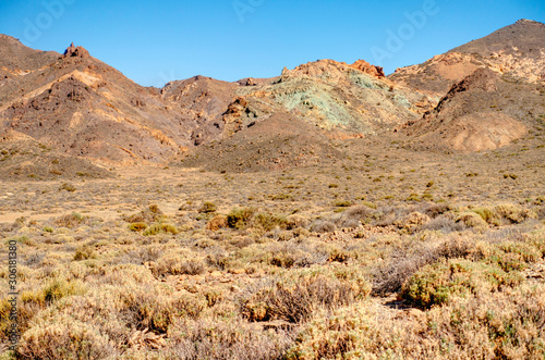 Volcanic landscape in Teide National Park