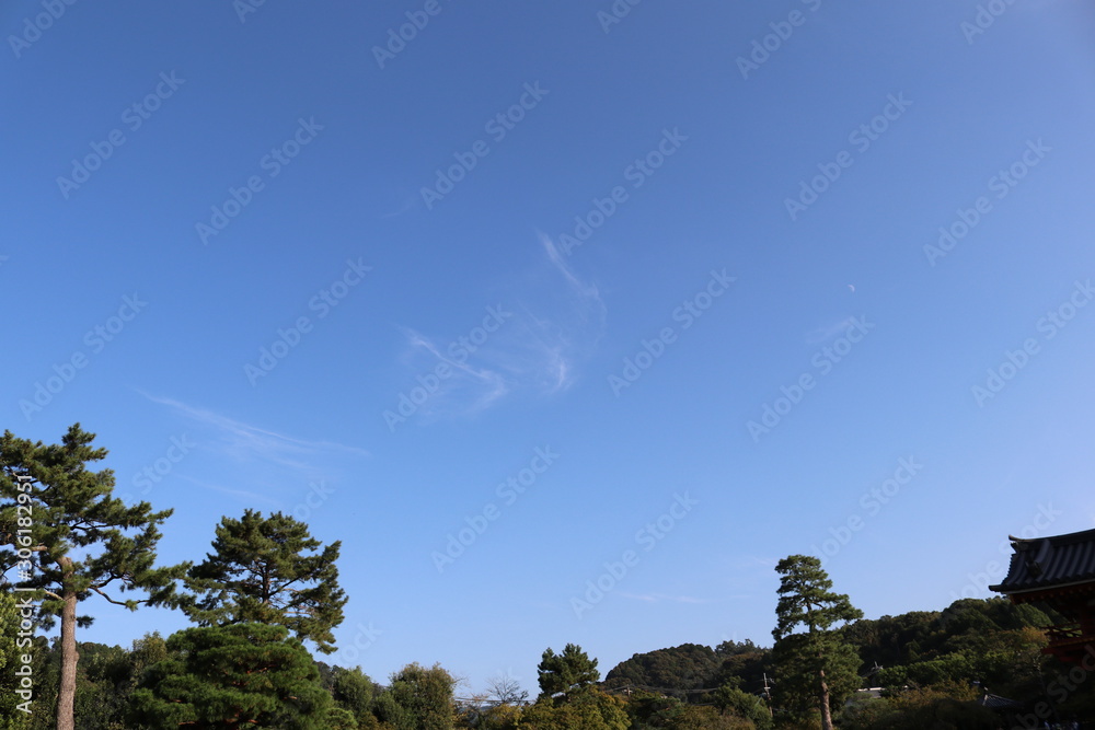 Obraz premium 青空