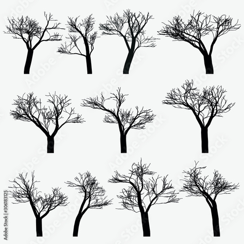 Drawn vector eps trees without foliage, black autumn, different for creating a forest