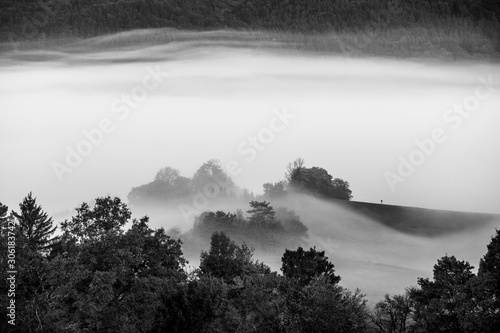 Mist over the meadow, autumn morning landscape, black and white photo photo