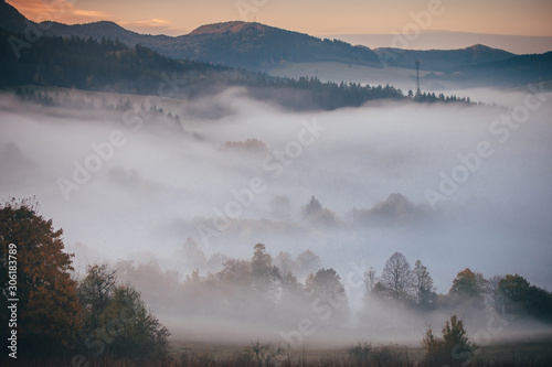 Misty autumn landscape. fog between trees, beautiful morning scenery