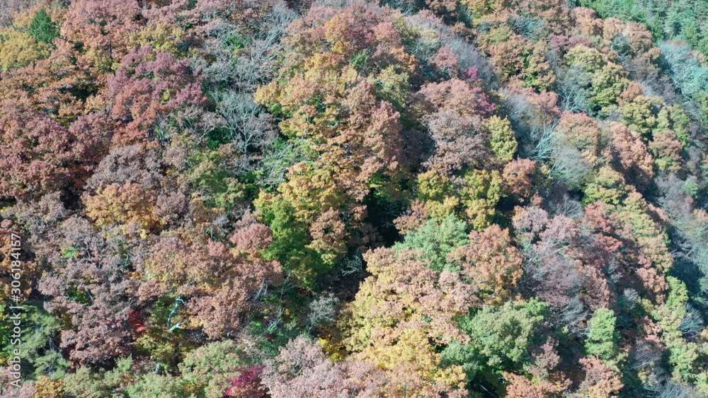 Aerial view of beautiful Japan autumn at lake Kawaguchiko with red leaves Aerial view of beautiful Japan autumn at lake Kawaguchiko with red leaves