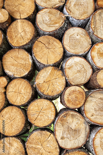 Sawn logs. Pile stacked natural sawn wooden logs background  top view