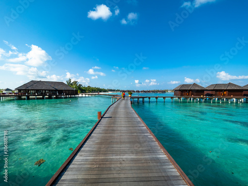 Maldives island with beach water bungalows and palm trees, South Male Atoll, Maldives © David Brown