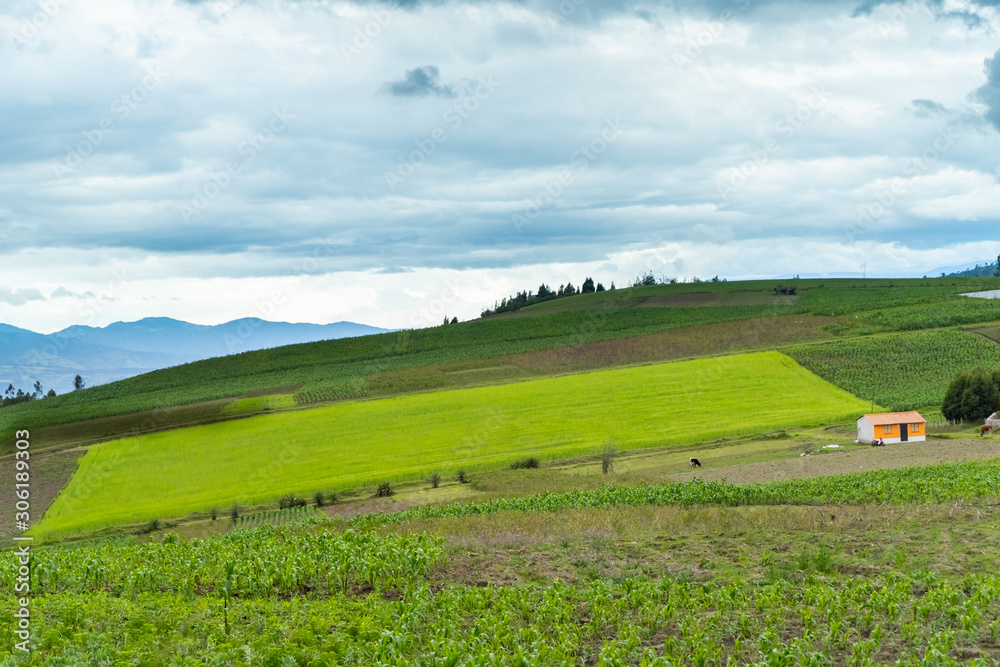 Andean landscape, agricultural crops near Lake San Pablo, Imbabura, Ecuador Andean landscape, agricultural crops near Lake San Pablo, Imbabura, Ecuador