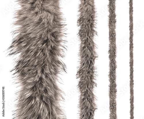 set of stripes of gray fur of different sizes on an isolated white background. photo