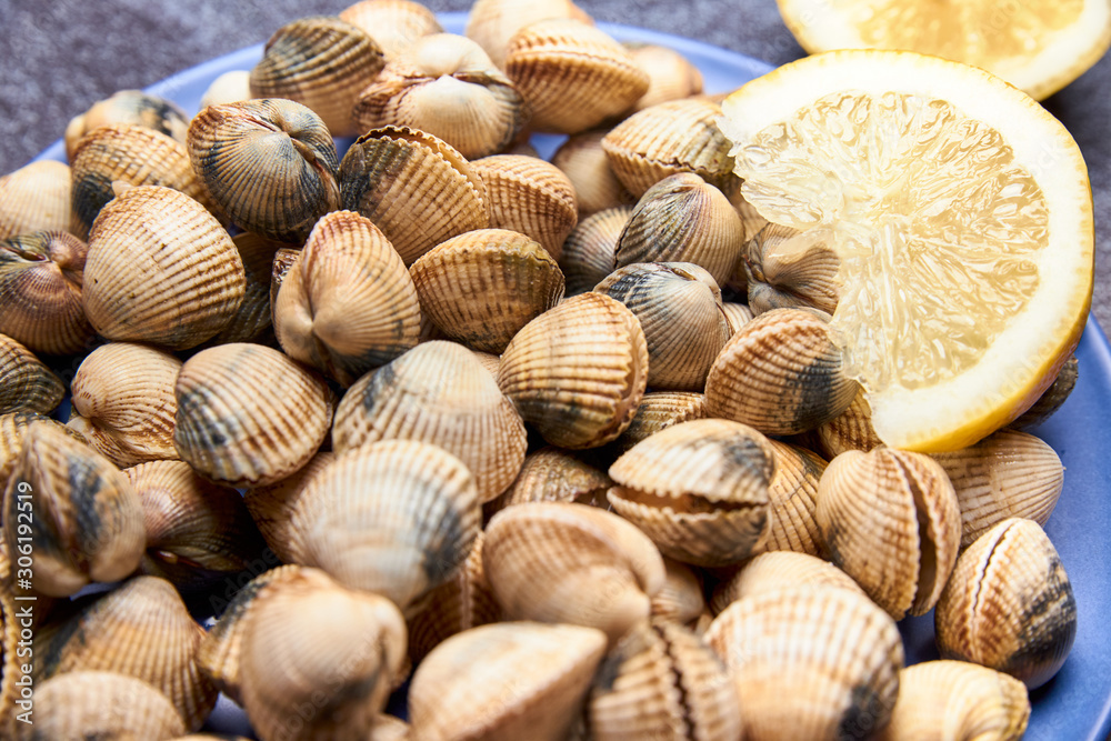 view of fresh cockles on a plate