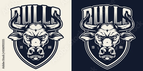 Sport team vintage monochrome logotype