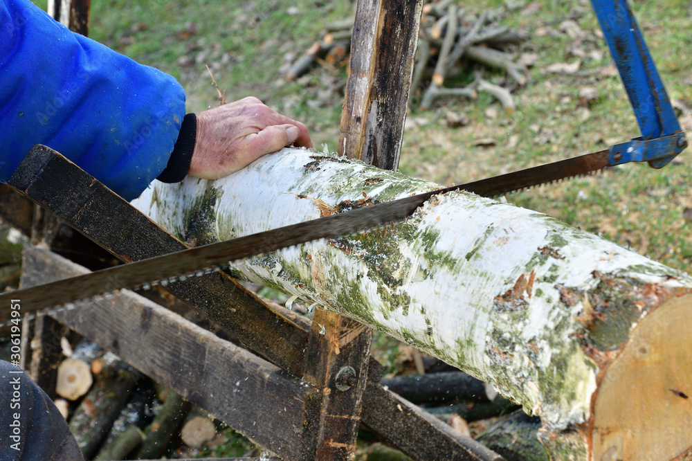 Obraz premium Detail of a wood sawing traditionally in the village