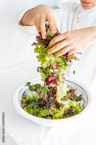 Hands holding fresh salad © Fernanda