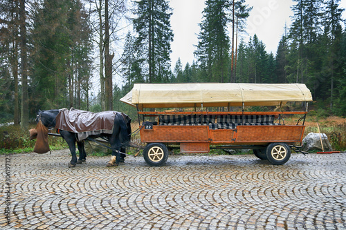 ZAKOPANE, POLAND - NOVEMBER 04, 2019: Tatra National Park in Polish High Tatra Mountains. Horse cart on the road to Lake Morskie Oko (Eye of the Sea Lake) from Palenica Bialczanska near Zakopane. photo