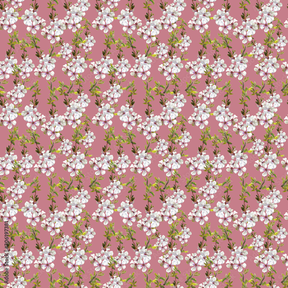 blooming pink cherry blooming pink cherry