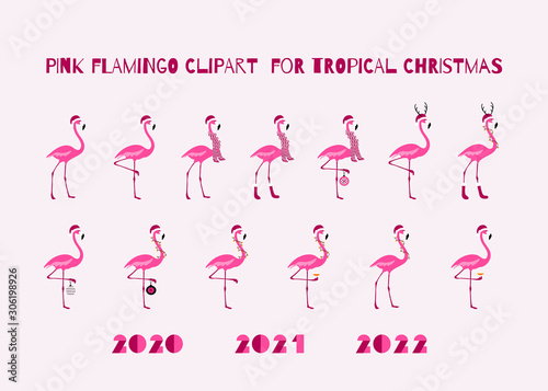 Pink Christmas Flamingo Set Tropical Birds Design