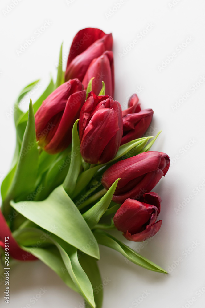 Bouquet of red tulips with a red ribbon on a white background. View from above. Selective focus. Bouquet of red tulips with a red ribbon on a white background. View from above. Selective focus.