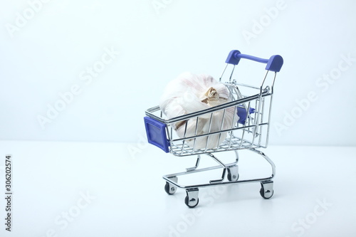 garlic bulb in a shopping cart isolated on white background. Image contains copy space. Shopping concept