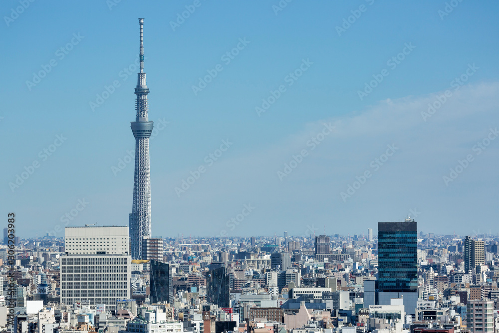 Fototapeta premium Tokyo Skytree view from Bunkyo Observation Deck