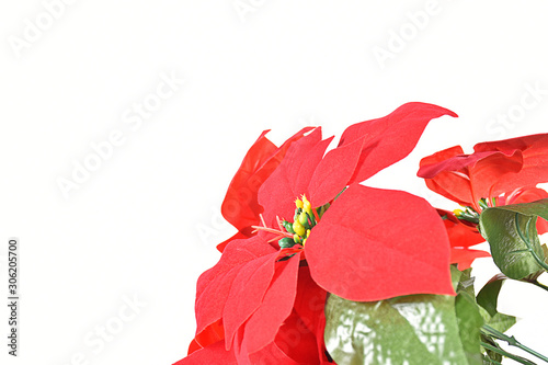 The red Christmas tree postcard on a white background is suitable for welcoming New Year and Christmas holiday