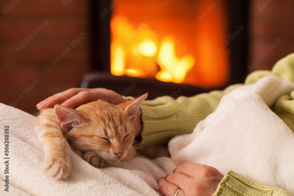 Just chilling by the fireplace - woman hands petting a small tabby cat