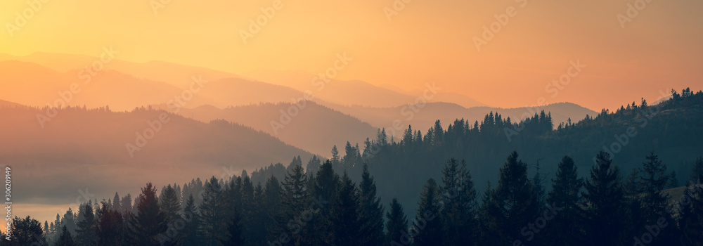 Majestic autumn scenery of foggy valley at Carpathian mountain range at early morning sunrise. Beautiful tonal perspective wide angle panorama. - obrazy, fototapety, plakaty 