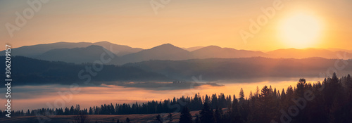 Majestic autumn scenery of foggy valley at Carpathian mountain range at early morning sunrise. Beautiful tonal perspective wide angle panorama.