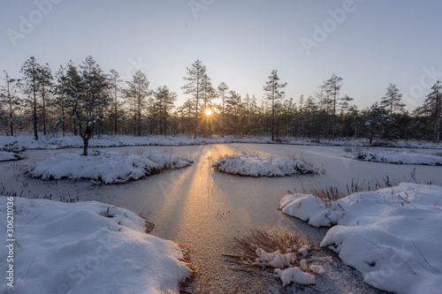 Fototapeta Naklejka Na Ścianę i Meble -  the first snow on marsh lake. Leningrad region. Russia