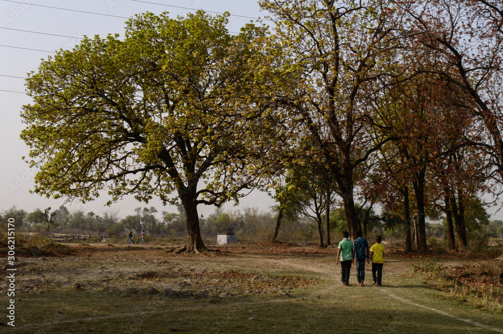 Indian village boys going for playing cricket on summer days.