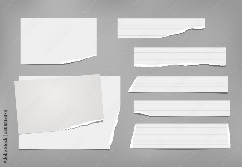 Set of torn white, lined and squared note, notebook paper pieces, reminder tapes stuck on grey background. Vector illustration Set of torn white, lined and squared note, notebook paper pieces, reminder tapes stuck on grey background. Vector illustration