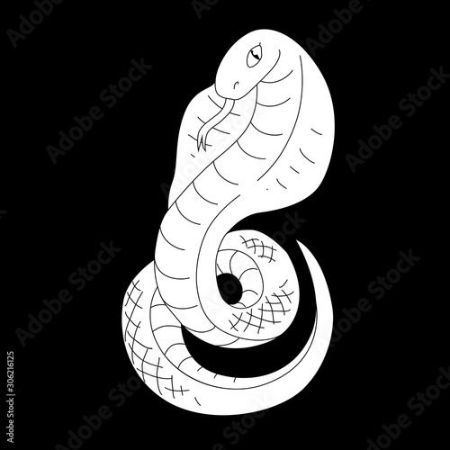 Snake vector illustration