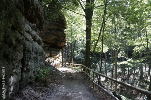 Narrow path next to sandstone rocks spotted in Bohemian Switzerland