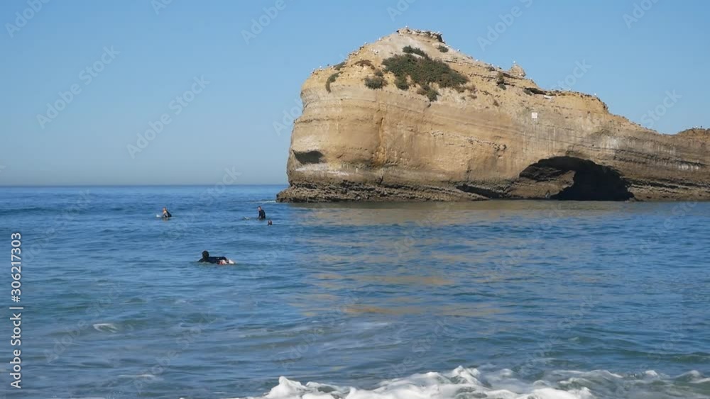 surfers conquer the waves of the ocean surfers conquer the waves of the ocean