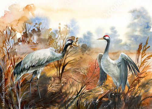 jesienny krajobraz z żurawiem ptaków, ilustracja akwarela