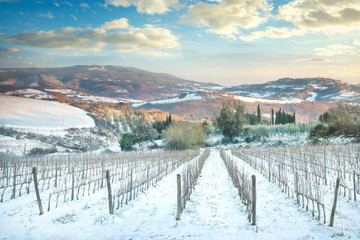 Vineyards rows covered by snow in winter at sunset. Chianti, Siena, Italy