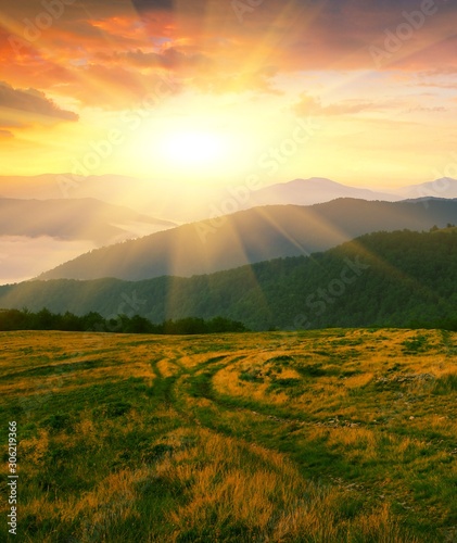Fototapeta Naklejka Na Ścianę i Meble -  splendid summer sunrise vertical landscape, spectacular morning dawn in Carpathian mountains, meadow in first rays of sun , east Europe travel, Ukraine, discover yourself beauty world