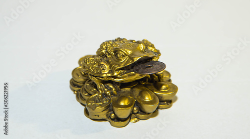 charming, the money frog with a coin on a white background Feng Shui