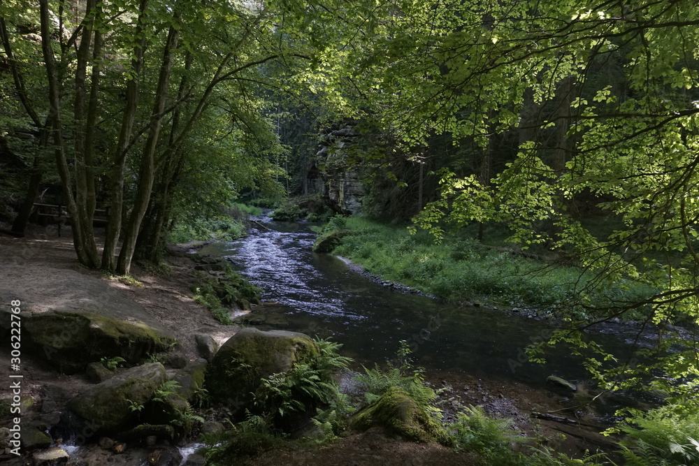 River bend of the Kamnitz river in Bohemian Switzerland