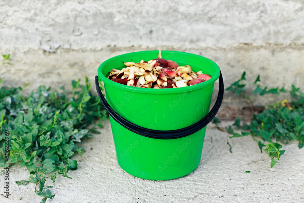 Kitchen bin with apple leftovers (scraps, peelings). Fruit waste in garbage can, throwing in the garden as organic and ecological fertilizer. Conception of composing and recycling food waste. Compost Kitchen bin with apple leftovers (scraps, peelings). Fruit waste in garbage can, throwing in the garden as organic and ecological fertilizer. Conception of composing and recycling food waste. Compost