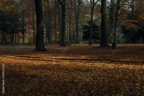 Friedhof Soldatenfriedhof photo