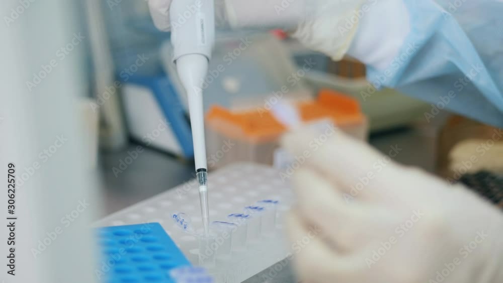 Laboratory worker tests samples on table. Laboratory worker tests samples on table.