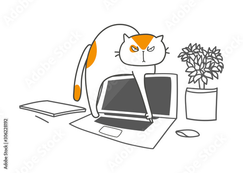 Cute cat character with laptop, design outline of cat. kitty working at the computer online. Draw doodle style. 