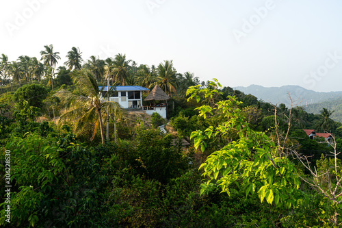 verlassene Hütte inmitten von Palmen