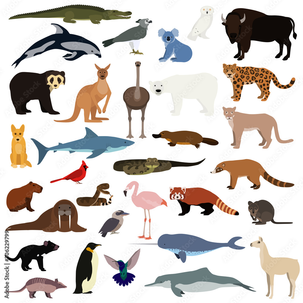 Big animal collection. Vector set of wild animals and birds. Stock  illustration isolated on white background. Stock Vector | Adobe Stock